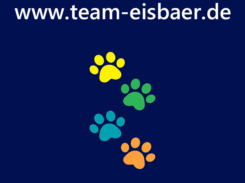 TeamEisbaer